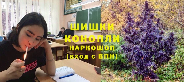 сатива Каменск-Шахтинский