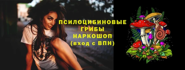 spice Каменка
