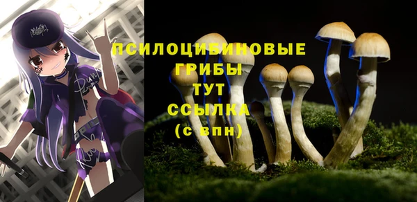 сатива Каменск-Шахтинский
