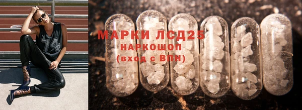 spice Каменка