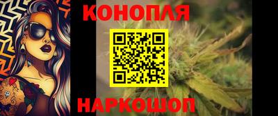 сатива Моздок
