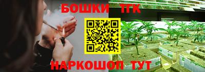 прущие грибы Можга
