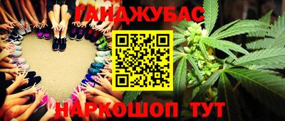 прущие грибы Можга