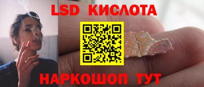 прущие грибы Можга