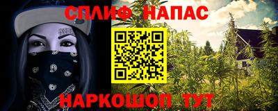 сатива Моздок