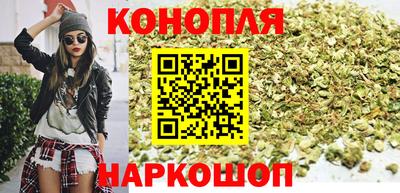сатива Моздок