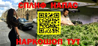 прущие грибы Можга