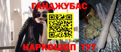 сатива Моздок