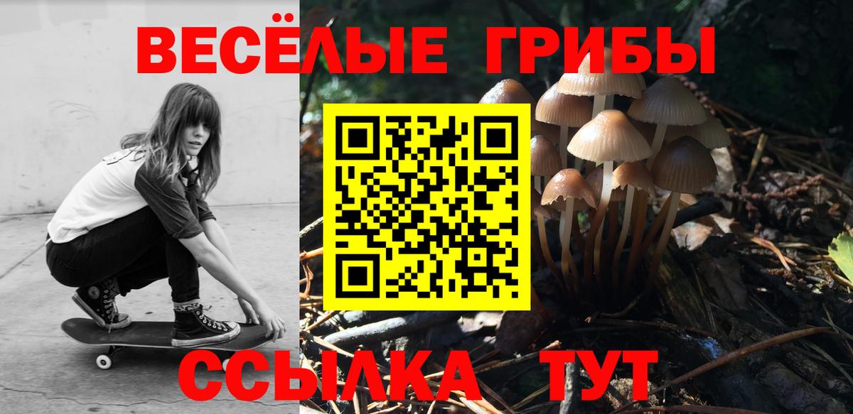 Подольск  Псилоцибиновые грибы прущие грибы  Вход с VPN 